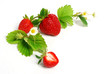 strawberries with leaves and flowers - corner decoration