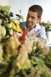 Male florist amongst the flowers in his shop