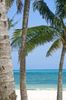bahamas bahamas