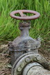 irrigation irrigation