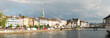 Zurich panoramica