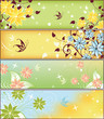Floral and Butterfly Frame