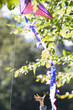 Photo: Boy (6-8) reaching for kite in tree Boy (6-8) reaching for kite in tree