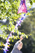 Photo: Boy (6-8) reaching for kite in tree Boy (6-8) reaching for kite in tree