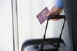 Businessman with luggage and passport