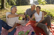 Three elderly friends on a picnic.