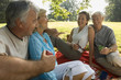 Elderly couples on a picnic.