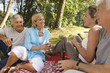 Elderly couples on a picnic.