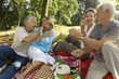 Elderly couples on a picnic.