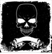 text area with skull