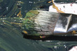 Wet abstract painting with brush