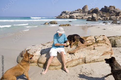 Photo: Man on rock on beach, playing with dogs, elevated view Man on rock on beach, playing with dogs, elevated view