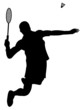Badminton Player Badminton Player