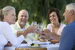 A group of senior couples at a restaurant