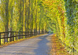 Autumn Avenue Autumn Avenue
