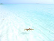 plage des caraibes 3 plage des caraibes 3