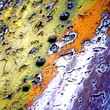 Flaky Paint 2 Flaky Paint 2