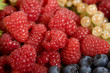 Framboises Framboises