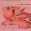 Flaky Paint Square 3 Flaky Paint Square 3
