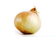 Onion