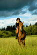 horse
