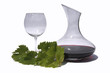 Foto: Rotwein Rotwein