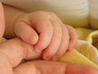 Baby 3