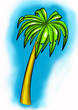 palm