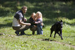 Photo: Two generation family watching dog running in field, parents crouching beside girl (2-3) Two generation family watching dog running in field, parents crouching beside girl (2-3)