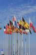 Flagge