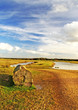 Common Landscape Common Landscape