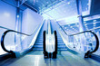 Escalators in exhibition Escalators in exhibition