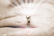 wedding rings 2