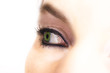 auge