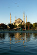 Blue Mosque reflected in a pond Blue Mosque reflected in a pond