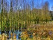Ein Stück Wildnis