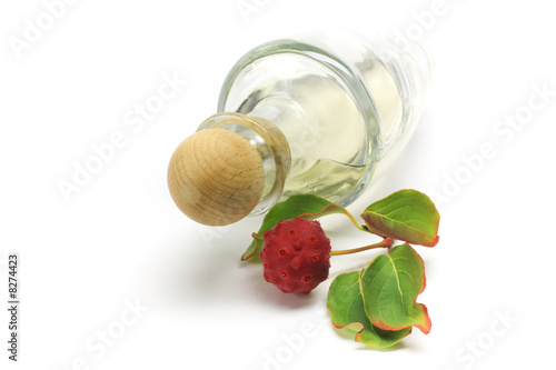 Foto: Parfum Flakon liegend Parfum Flakon liegend
