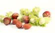 hazelnut