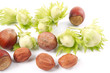 hazelnut