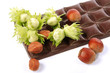 chocolate