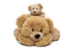 Un ours en pelluche et son ourson