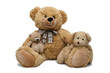 Un ours en pelluche et ses oursons