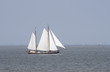Beautiful old Dutch sailing boat on sea