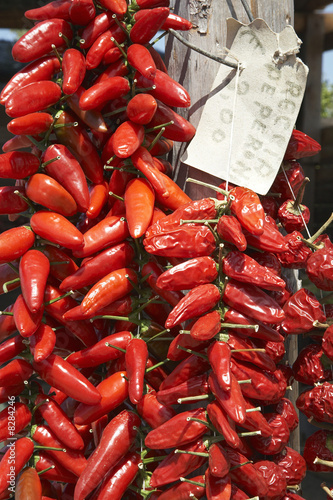 Photo: Red Chili Pepper drying Red Chili Pepper drying