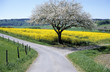 Wegscheide 2