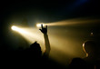 Die Hand des Fans Die Hand des Fans