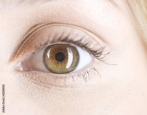 Photo: An eye, close-up An eye, close-up