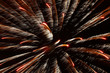 Fireworks Display 3