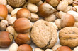 nuts macro