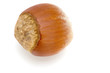 hazel nut macro